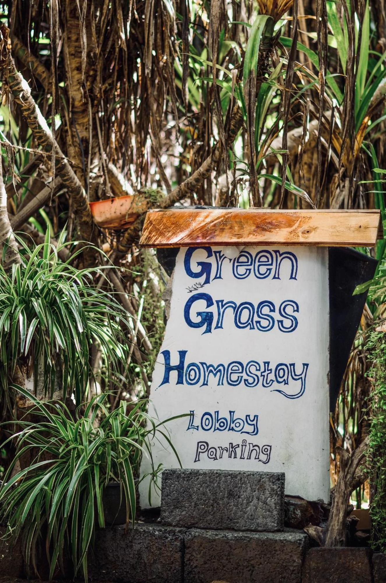 Green Grass Homestay Sigiriya Exteriör bild